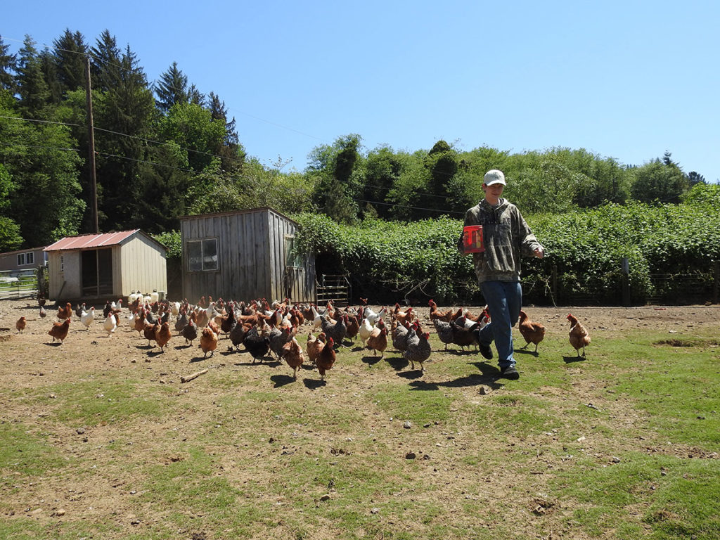 Happy Hens & Highlands Farm LLC